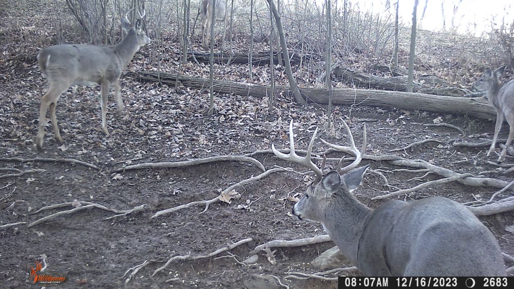 2023 big 8 point buck