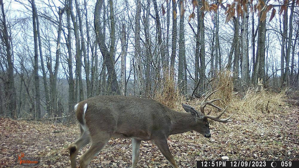 2023 big eight point