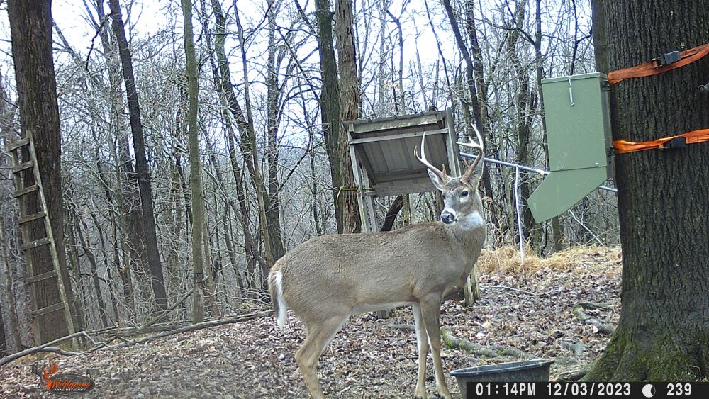 2023 eight point buck