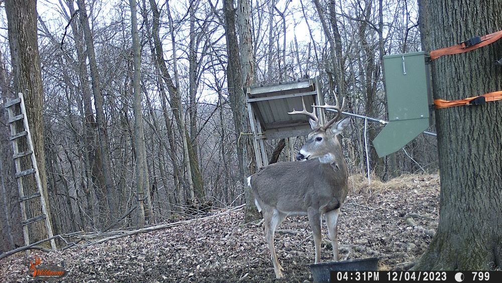 2023 ten point buck