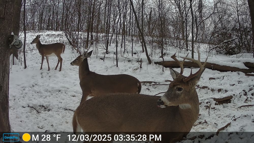 2025 Broken Beam Buck