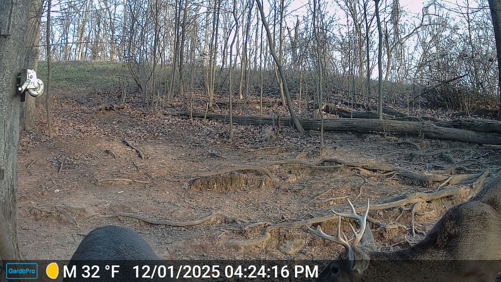 2025 Broken G3 Eight