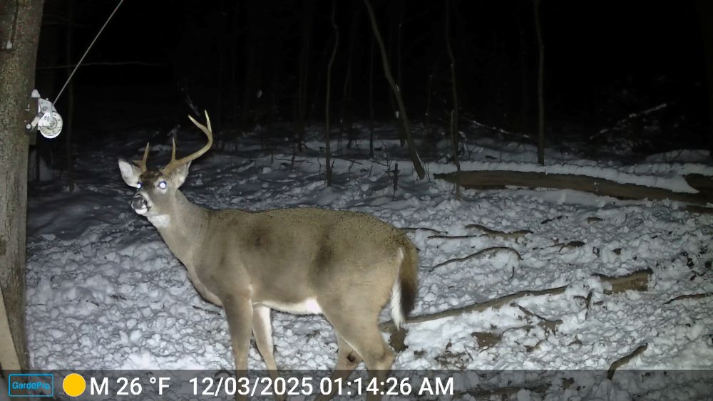 2025 Broken Rack Buck