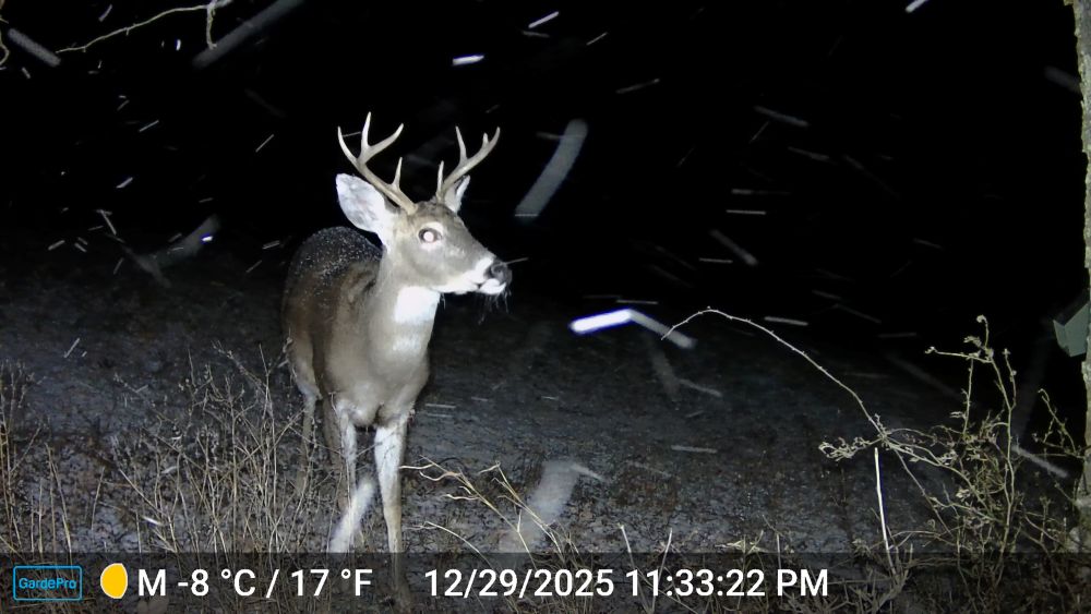 2025 Small Eight Point