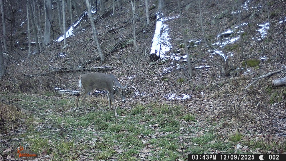 2025 Wide Eight Point