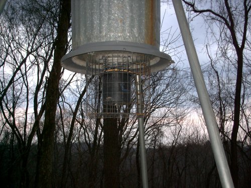 American Hunter Pro Feeder