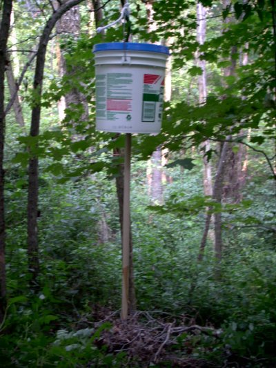 bucket deer feeder