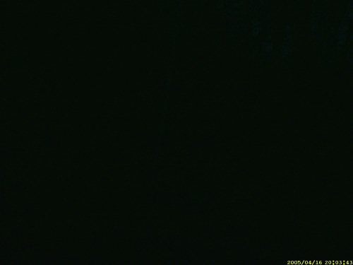 all black bushnell picture