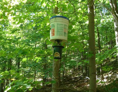 Cabelas photocell feeder