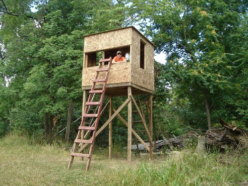 Deer blind under roof