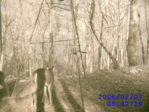 Leaf River IR digital scouting camera picture