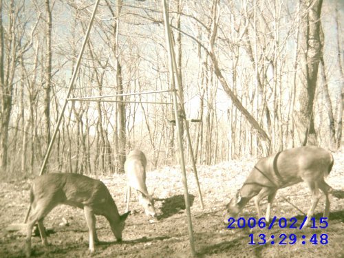 Leaf River IR digital game camera picture