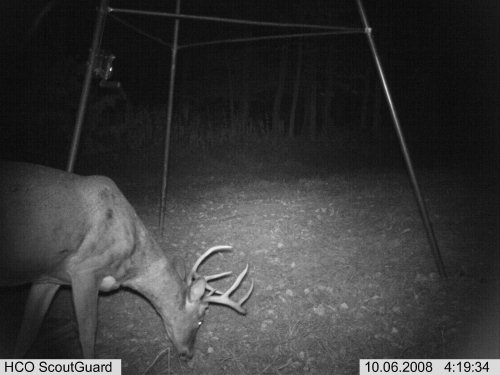 ScoutGuard IR picture