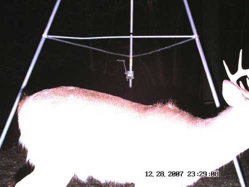 Washed out Stealth Cam picture