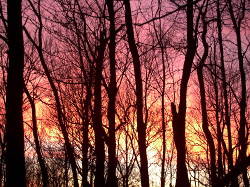 sunset