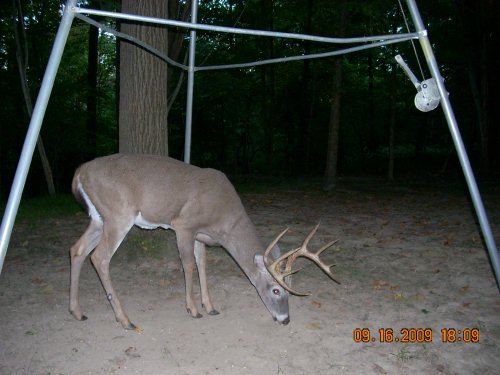 Swamp Ghost example picture