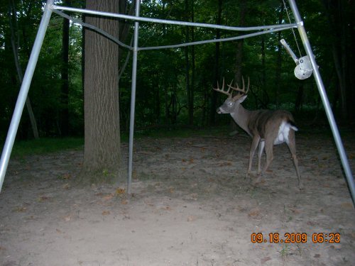 Swamp Ghost trail cam picture