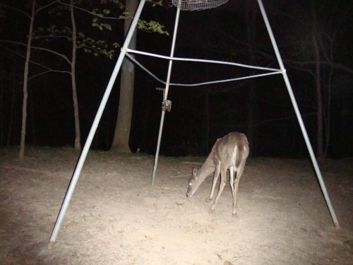 Trail Watcher 4220 picture