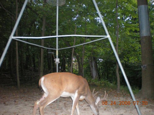 Trail Stalker picture