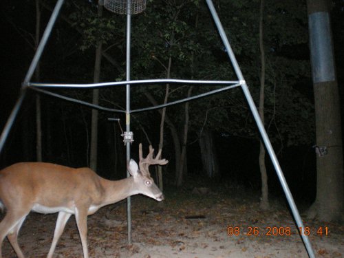 Trail Stalker picture