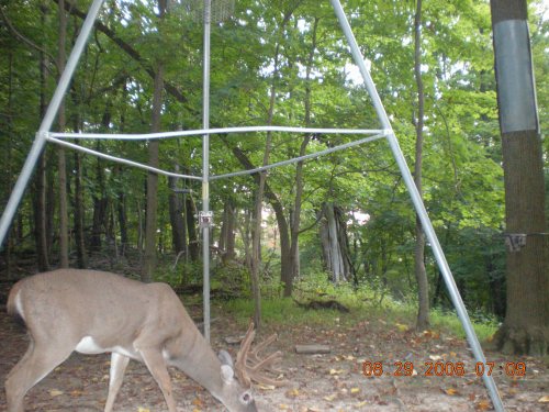 Trail Stalker picture
