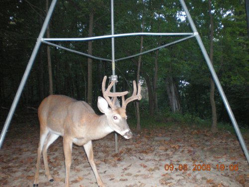 Trail Stalker picture