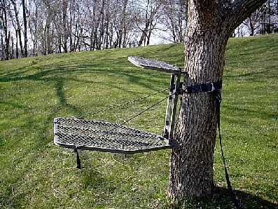 Gorilla Silverback Mangnum Treestand