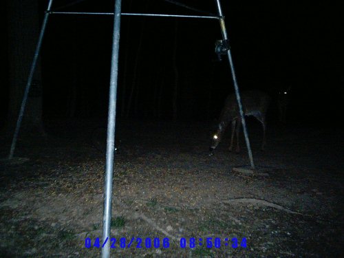 Wildview picture
