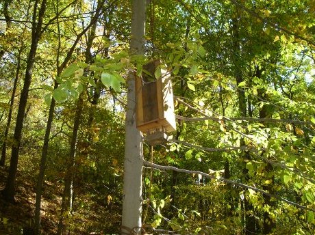 Wooden deer feeder