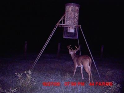 Decent Buck