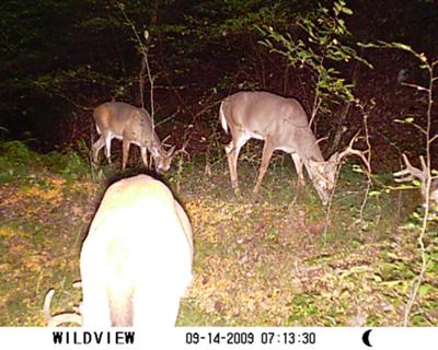 OCT.  2009