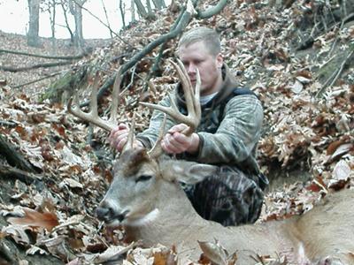 11 Point