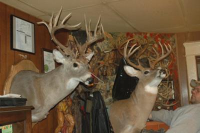 West Virginia Bucks