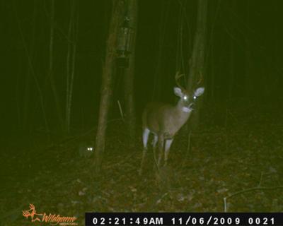 8 Pointer