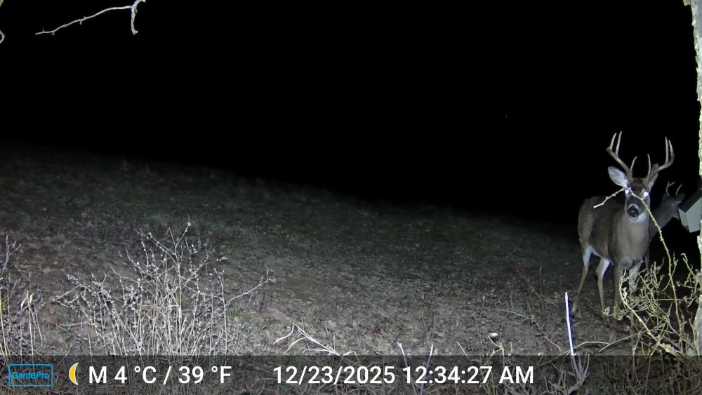 2025 Big Eight Point