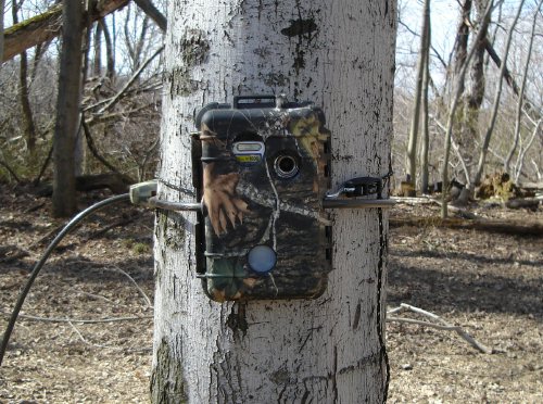 Bigfoot SLE Digital Trail Camera
