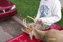 8 point buck