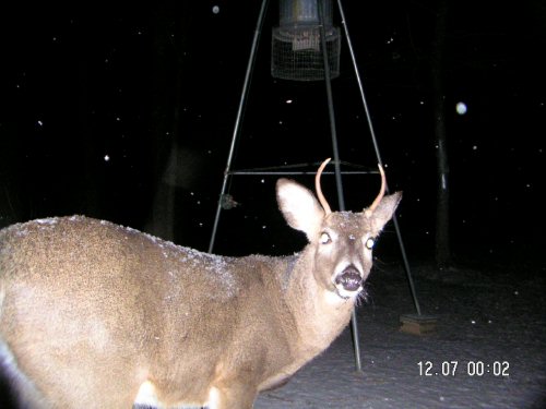 Spike Buck