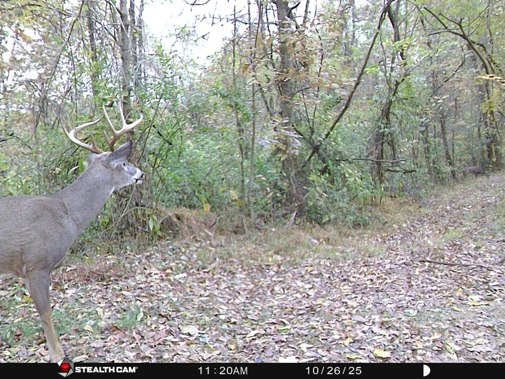 Fall 2025 Before Broken Eight