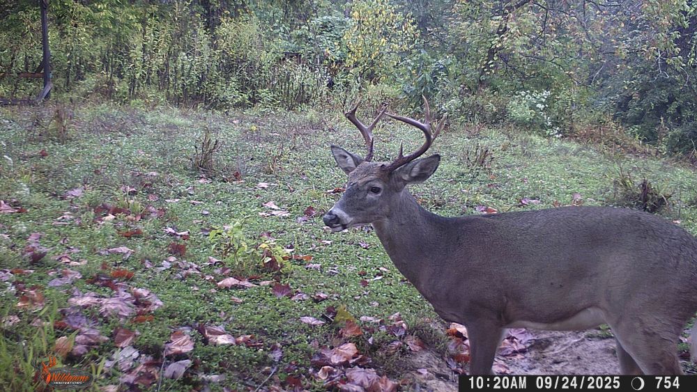 Fall 2025 Broken Tip Eight