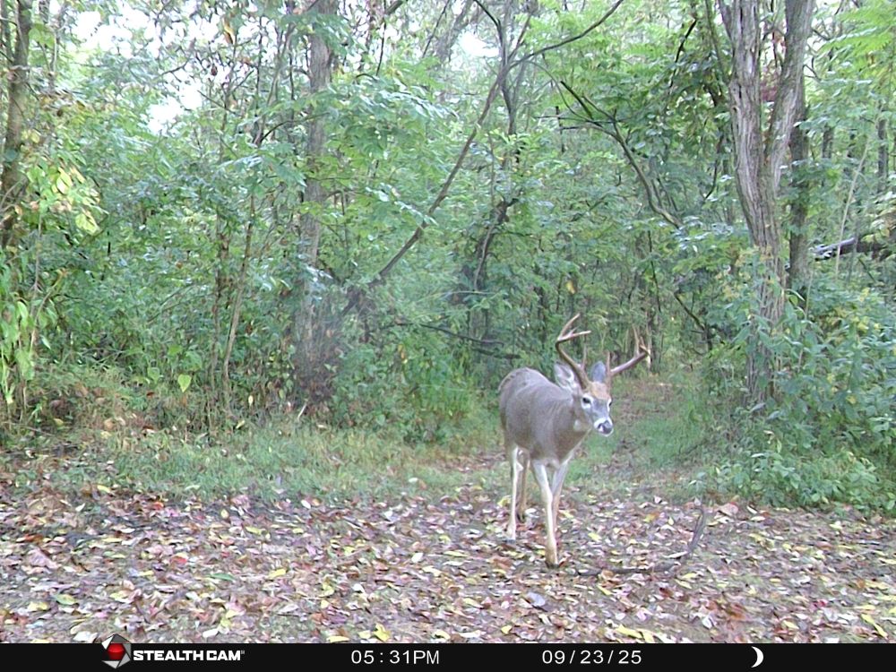 Fall 2025 Crab Claw Eight