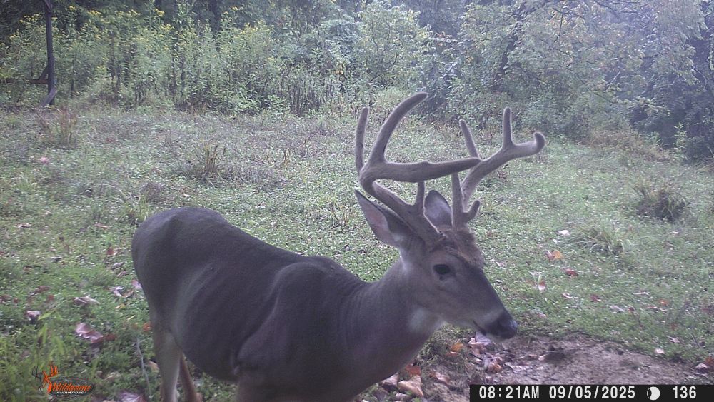 Fall 2025 Kicker Buck