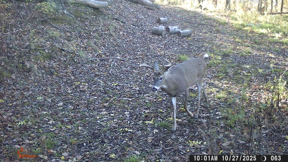 Fall 2025 Old Eight Point