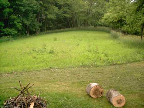 old garden food plot