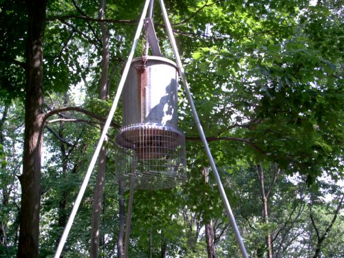 whitetail deer feeder
