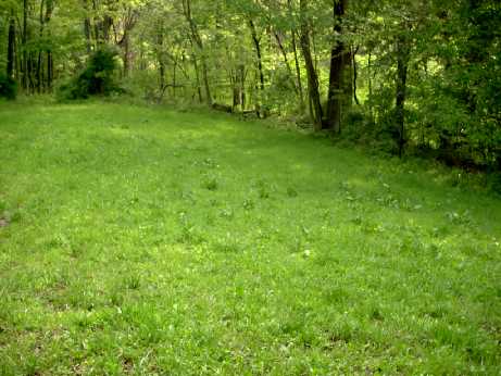 Middle clearing plot photo Middle clearing plot photo