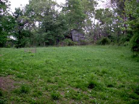 Oldhouse food plot