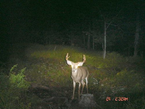 Six point taken with a homebrew camera