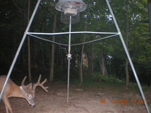 Trail Stalker buck