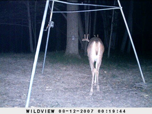 WIldview Xtreme flash picture example